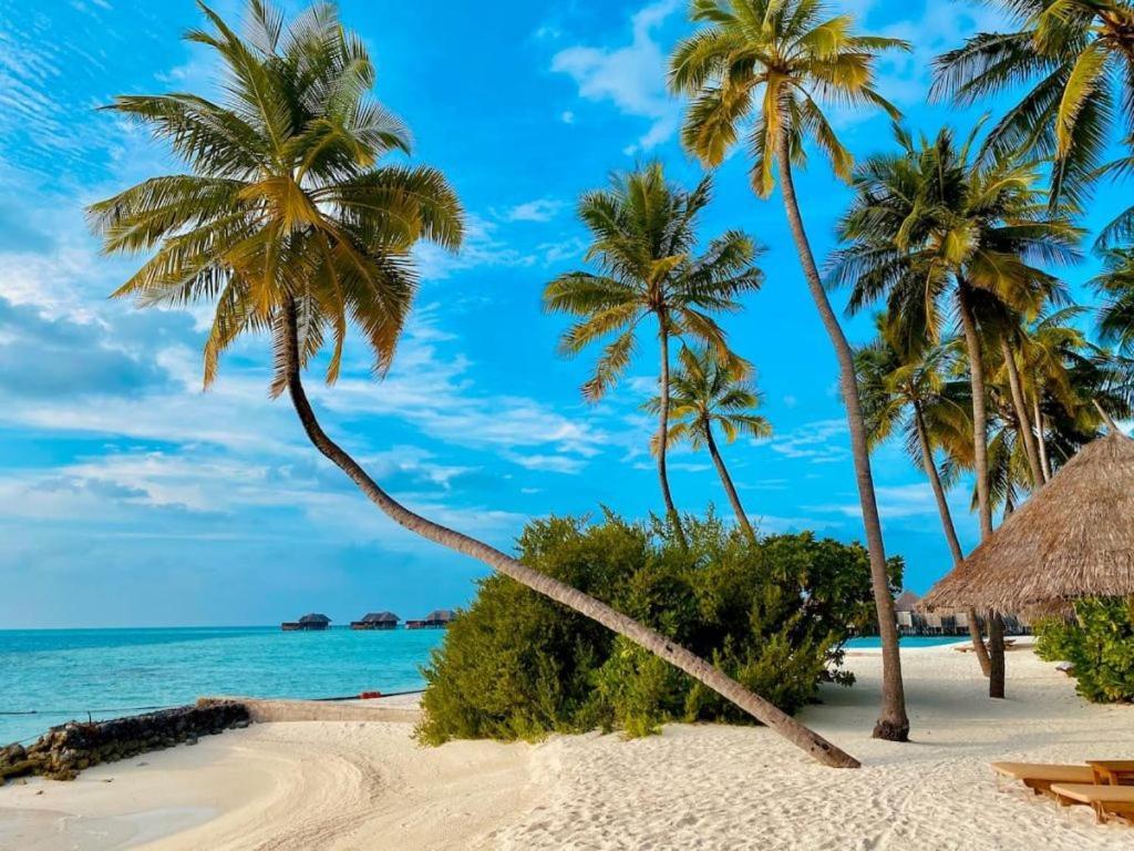 Апартаменты Costa Nova Itagua Убатуба Экстерьер фото